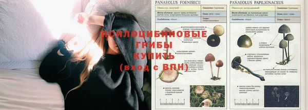 MDMA Premium VHQ Горняк