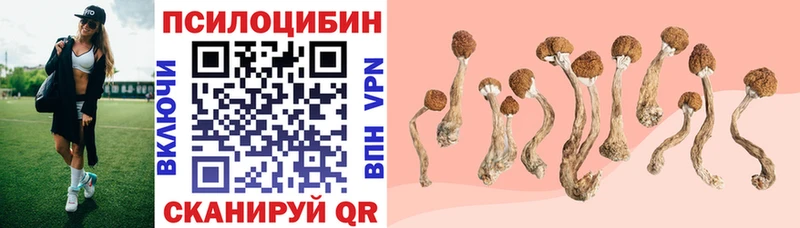 Галлюциногенные грибы Psilocybine cubensis  цены наркотик  МЕГА вход  Нея 